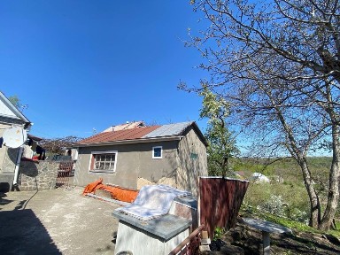 Київська область, Шкарівка