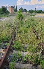 Полтавська область, Полтава