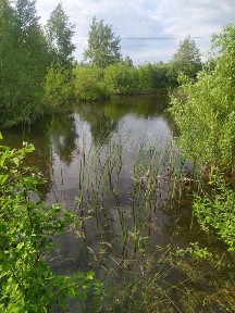 Продам дім з власним озером. Район Смоківка, м. Житомир.