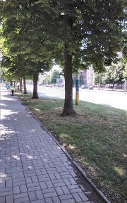 1 ком. на проспекте Соборном