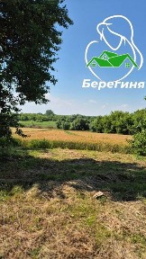 Будинок в с. Мала Антонівка Білоцерківський район