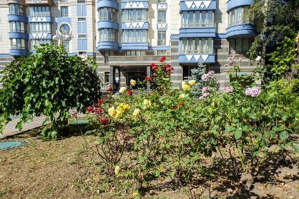 Київська область, Київ, Печерський
