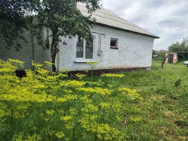 Продам або обміняю будинок в центрі с. Трушки!
