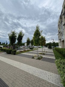 Київська область, Київ, Голосіївський