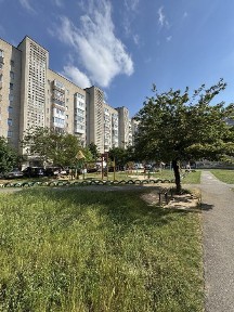 Волинська область, Луцьк