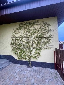 Київська область, Северинівка