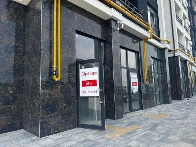 Київська область, Ірпінь