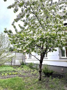 Харківська область, Харків, Новобаварський