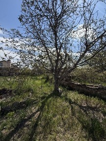 Продаж будинку з гарною земельною ділянкою