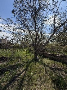 Продаж будинку з гарною земельною ділянкою
