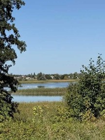 Продам будинок Макарів. Гараж, погріб, баня, теплиця, альтанка