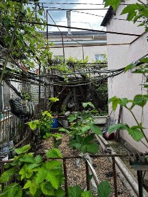 Одеська область, Одеса, Хаджибейський