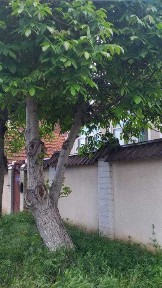 Одеська область, Одеса, Хаджибейський