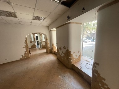 Київська область, Київ, Шевченківський