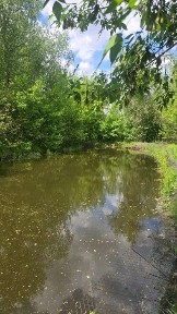 Продаж будинку с Калинове