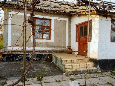 Масштабна локація 3,15 га з ангаром в оренду: Братське (Промзона)