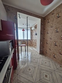 Київська область, Софіївська Борщагівка