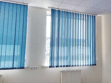 Київська область, Київ, Шевченківський