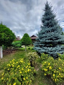 Харківська область, Старий Салтів