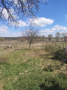 Чернігівська область, Чернігів
