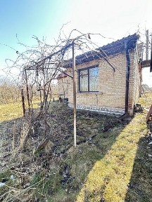 Київська область, Шибене