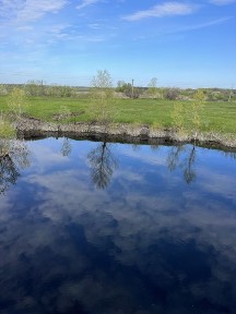 Продам Будинок біля лісу