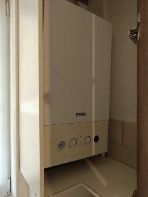 Здається в оренду 1 кімн. квартира