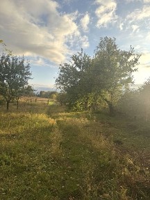 Чернігівська область, Жуківка
