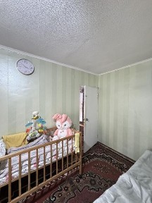 Київська область, Немішаєве