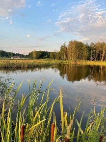 Київська область, Плахтянка