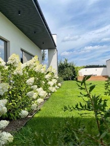 Елітний котедж у Belgravia | 270 м² | Дизайнерський ремонт | Тераса 100 м² | Без комісії!
