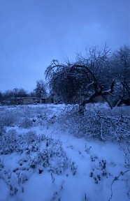 Продам нежилий будинок з рівною ділянкою поблизу центру Узина