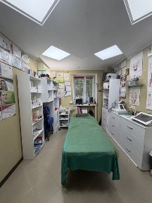 Запорізька область, Запоріжжя, Вознесенівський