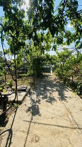 Дніпропетровська область, Тернуватий Кут