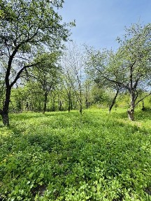 Здається дача в місті Канів, район Бессарабія.