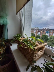 Львівська область, Шептицький