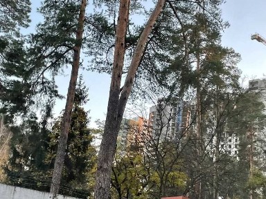 Київська область, Київ, Дарницький