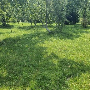Продаж будинку в місті на 28 сотках землі.