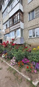 Харківська область, Дачне