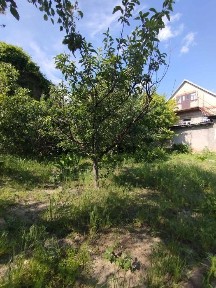 Продаж будинку по вулиці Теслярська