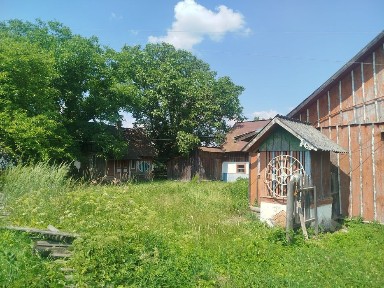 Будинок і земля в Карпатах, біля лісу, ідеальне місце