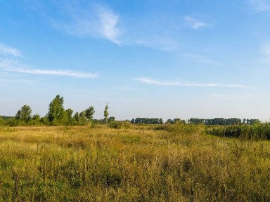 Ділянка (12га) під Києвом, біля озера (25га) та ріки Трубіж. Ідеально під рекреаційну або реабілітаційну зону, котеджне містечко, дітячий табор, тощо.