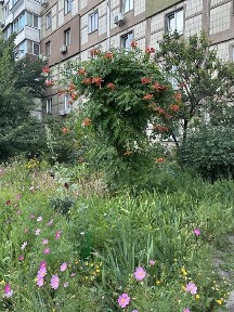 Сдам УЮТНУЮ 1 кв. ТЦ. Район. Середина Троещины.