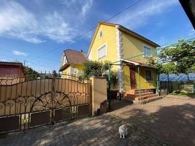 Продаж доглянутого будинку 173 м² у Кам'яниці, 10 соток, баня
