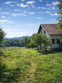 Будинок з великою ділянкою Косів