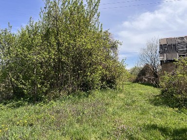 Київська область, Сулимівка