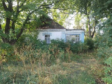 Група будівель 224,2 м2, 0.1 га, Капітанівка, вул. Покровська, 52