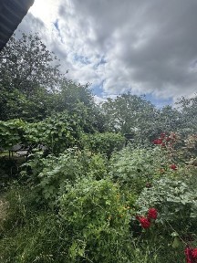 Полтавська область, Полтава