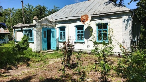 Черкаська область, Будище