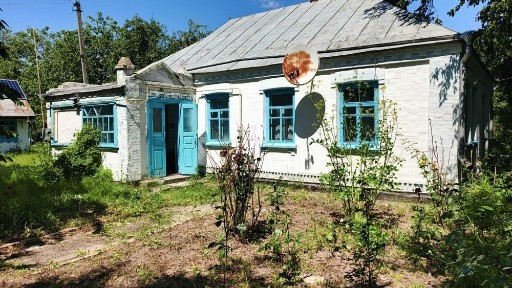 Черкаська область, Будище